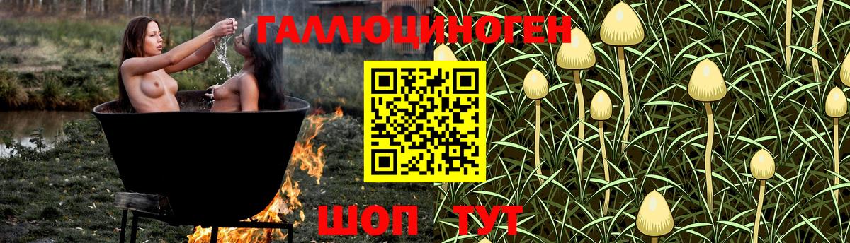 Псилоцибиновые грибы Psilocybine cubensis  Вход с VPN  Псилоцибиновые грибы ЛСД  Ефремов 