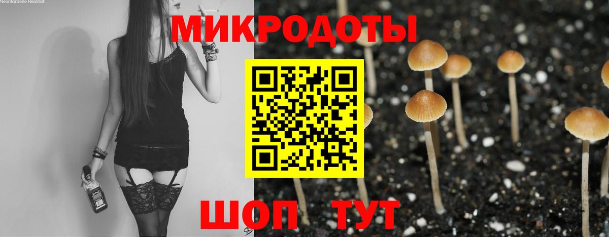 Псилоцибиновые грибы мицелий Ефремов